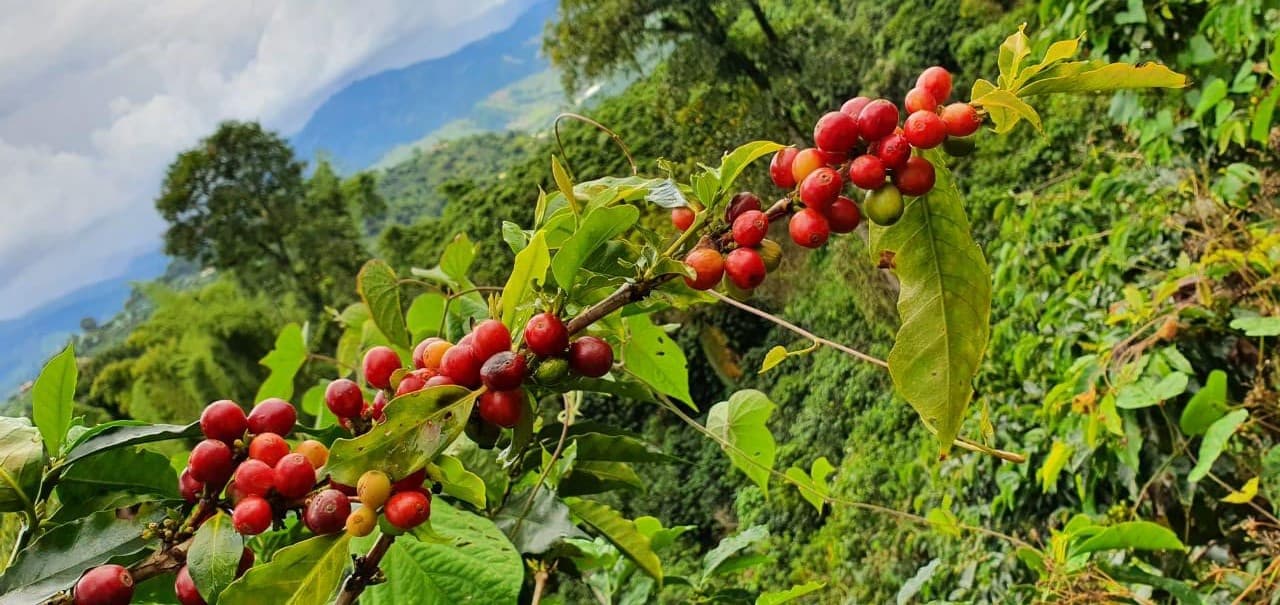 Detrás de cada café hay un encuentro