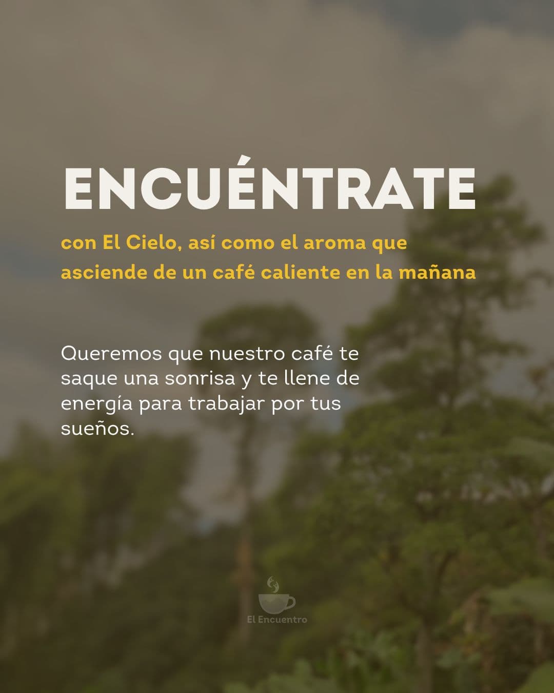 Finca El Cielo — Andes Antioqueño