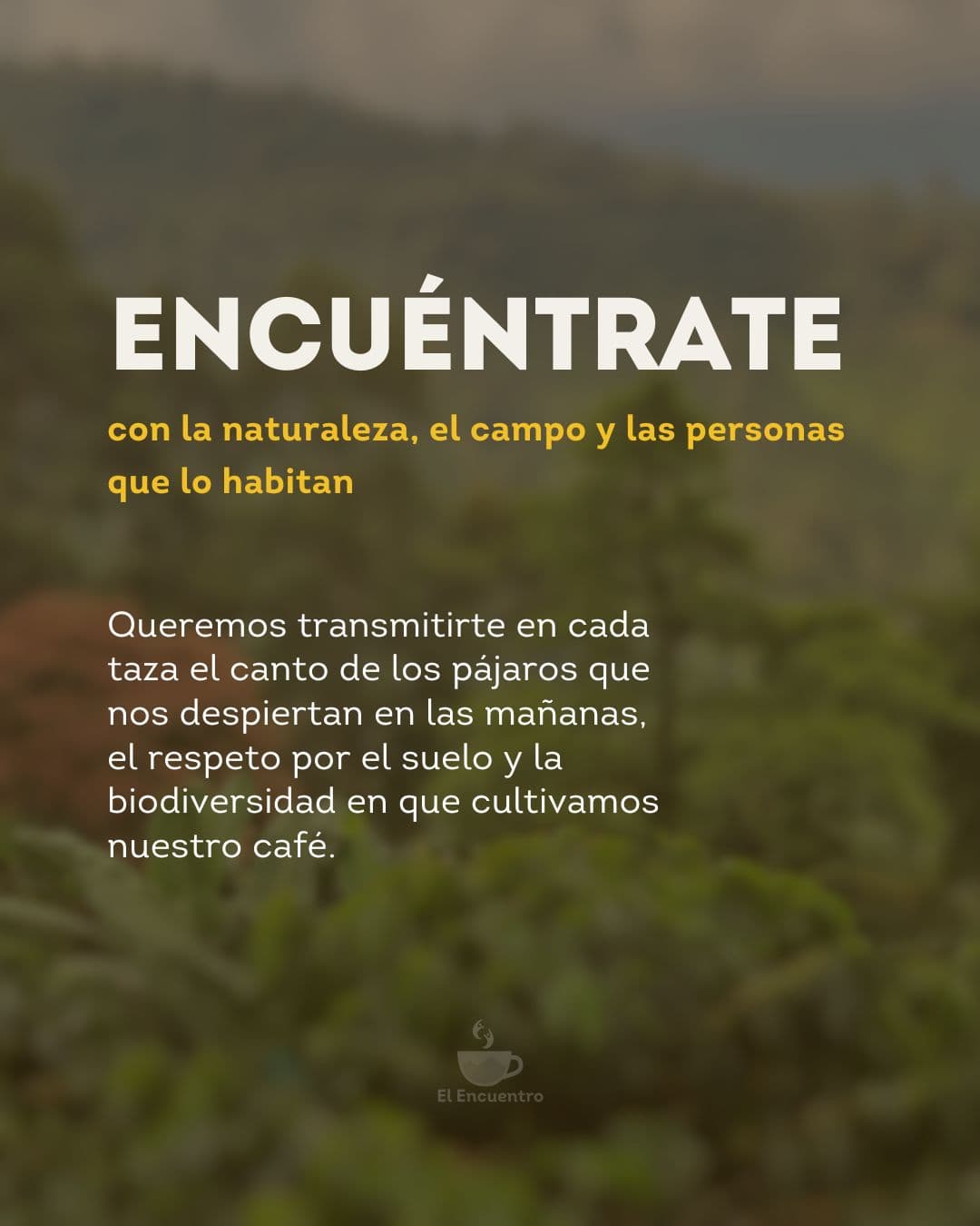 Café y naturaleza — El Encuentro