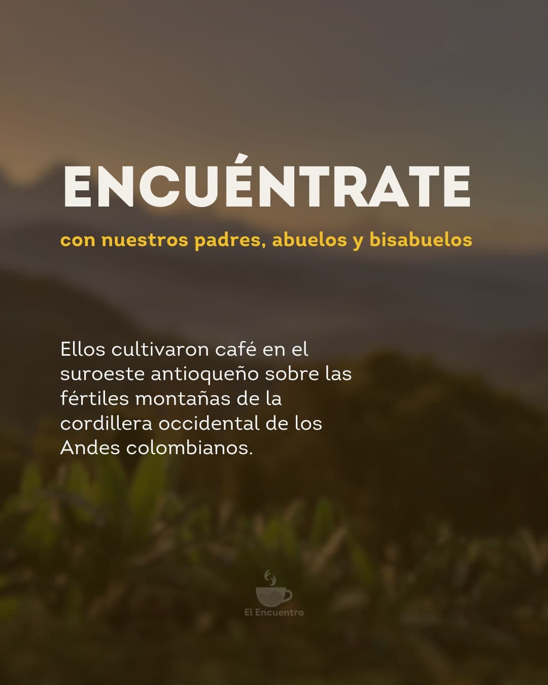 Cultivo en los Andes colombianos